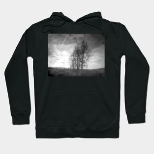 Trees and Clouds in France Hoodie